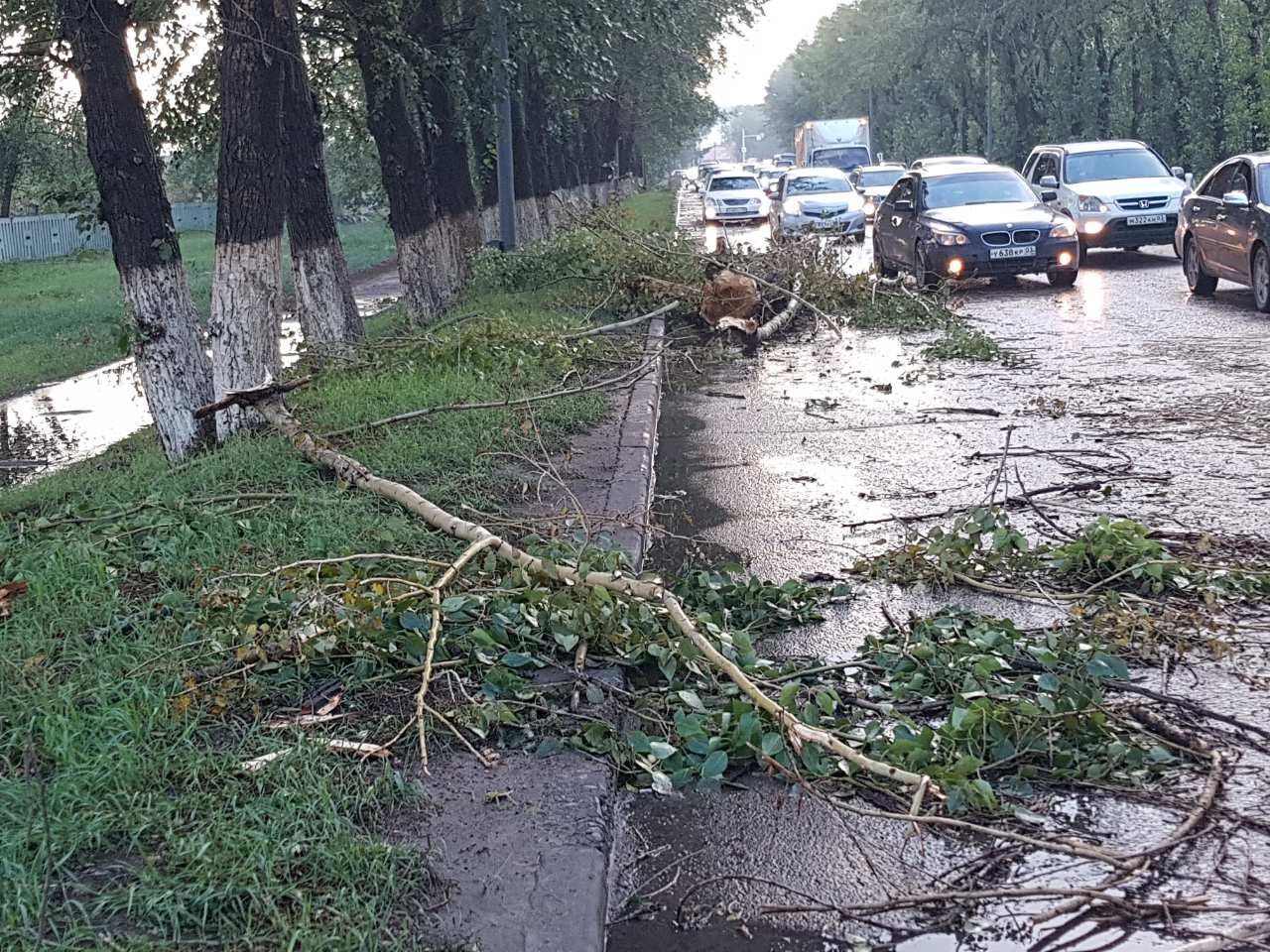 В Улан-Удэ суд снял с чиновников ответственность за падающие деревья