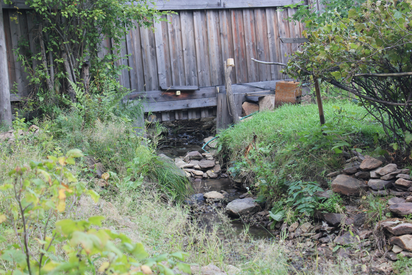 В Иволгинском районе Бурятии жители самовольно захватывают лесные земли и ручьи