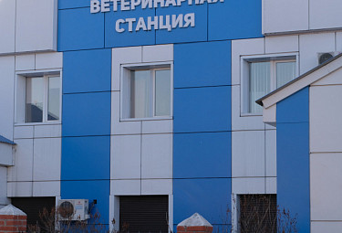 Городская ветеринарная станция в Улан-Удэ (Бурятия)