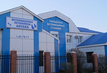 Городская ветстанция, ветлечебница и ветеринарная аптека в Улан-Удэ